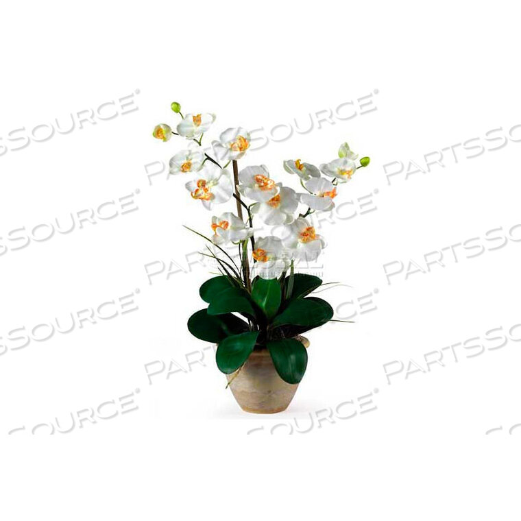 DOUBLE PHALAENOPSIS SILK ORCHID FLOWER ARRANGEMENT, CREAM by Nearly Natural