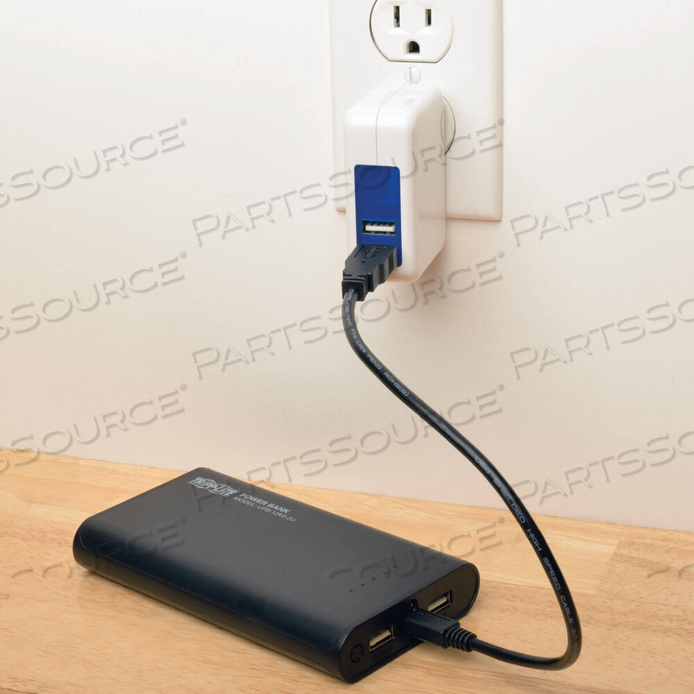 PORTABLE 2-PORT USB BATTERY CHARGER MOBILE POWER BANK 12K MAH by Tripp Lite