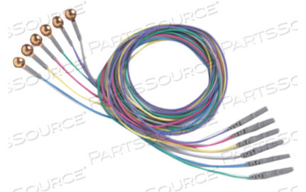 Buy Gold Cup EEG Electrodes Online